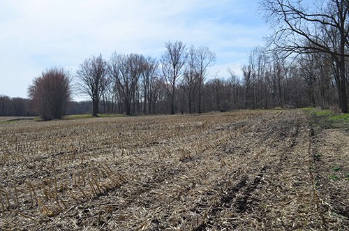 Property photo 173 - REAL ESTATE & PERSONAL PROPERTY AUCTION, 140 Acres offered in 8 Tracts or Combinations in Steuben County